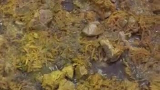 دیگ سرخ کن صنعتی تیان گاز استیل ویژه رستوران ها