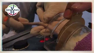 آموزش انواع روش های دارورسانی به حیوانات