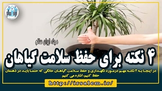 4 نکته برای حفظ سلامت گیاهان