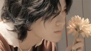 یوتا عضو انسیتی