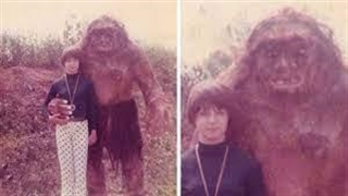 تصاویر دیوانه واری که توسط دوربین های جنگلی ضبط شدند