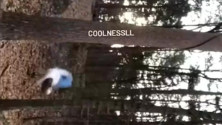 ادیت خودمه میشه حمایت کنی؟