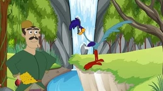 غازکی قالب پنیری دید