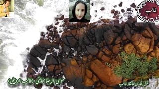 شعر شورانگیز شاهکار از غزلسرا و شاعر معاصر طالب با دکلمه احساسی حورا سادات علویان