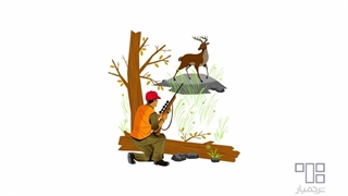 ۸ مورد از عجیب ترین نام گذاری ها برای گروه های حیوانات