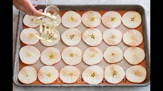 دستگاه خشک کن انگور