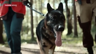 14020312: قربانی حمله سگ: بعد از ثبت شکایت تهدید به قتل شدم!