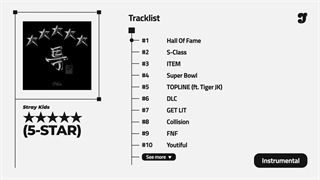 آهنگ Hall of Fame از Stray Kids ورژن بیکلام