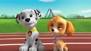 سگهای نگهبان۵۶