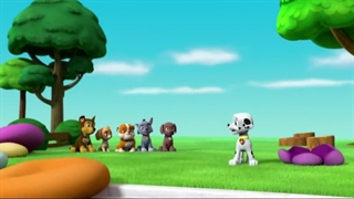 سگهای نگهبان۶۵