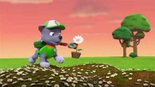 سگهای نگهبان۶۸