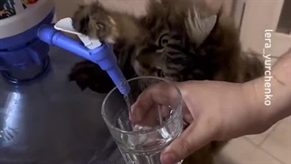 طنزجو: کانال شوخی و سرگرمی _ Joke _ Entertainment _ Recreation _ Laugh _ Smile _ کلیپ شماره :2