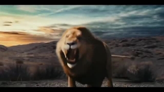 داستان شگفت انگیز امام علی (ع) و شجاعت عجیب شیر خدا