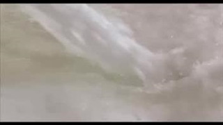 کارخانه تولید کننده نشادر ایرانی از خلوص 99.5 تا 99.9