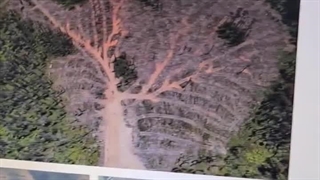 ساخت انواع کانکس های ویلایی | کانکس نگهبانی | کانکس اداری | مدرن کانتین