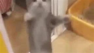 کانال واگذار میشه!