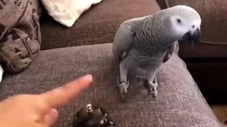 طنزجو: کانال شوخی و سرگرمی _ Joke _ Entertainment _ Recreation _ Laugh _ Smile _ کلیپ شماره :6