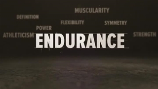 بخش استقامت برنامه فیزیک مدرن ۸ هفته‌ای عضله سازی استیو کوک The Modern Physique