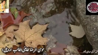 غزلیات طالب اردبیلی | غزل ترکی طالب | دکلمه شنیدنی شاهکار شعر