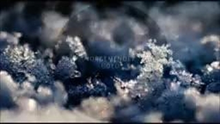 موسیقی جهان_برترین ها_شماره4