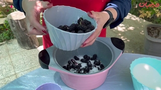 طرز تهیه مربا توت سیاه{خانگی،درختی}_مربای توت سیاه به همراه نکات