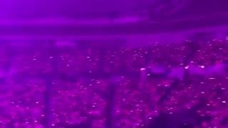 پینک اوشن کنسرت امشب