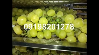 فروش دستگاه خشک کن انگور