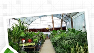 صابون های محلول پاشی