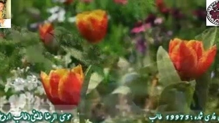 جهاز عشق | آوای عاشقی شاعر آذربایجانی | فریب چشم آهو از غزلیات شورانگیز شاهکار طالب