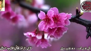 هوای عاشقی طالب آذربایجانی با تضمین غزل مولانا جلال الدین رومی با عنوان مست رخ گلنار | غزلیات شیرین طالب