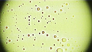 پیوندهای نانو الکتریکی(افشین رشید)