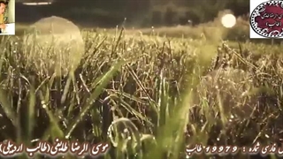 شعر عاشقانه متعالی زیبای رویایی | عشق متعالی طالب آذربایجانی با صدای شاعر