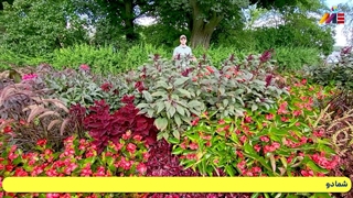 روش های اخذ اقامت کشور سوئد برای ایرانیان