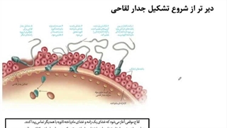 حل تست زیست یازدهم، فصل ۷