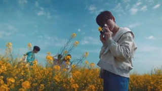 FireWork——- &TEAM