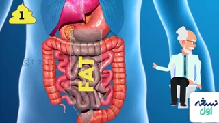 رنگ مدفوع - تشخیص سلامتی از رنگ مدفوع - داروخانه آنلاین نسخه اول