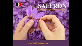 روند خرید و فروش زعفران در هلند