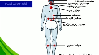 مواضع و نقاط حجامت و انواع حجامت (دکتر یاسر پاریاب)
