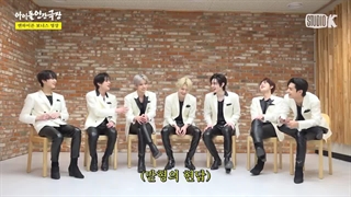 Human idol theater mbti with enhypen