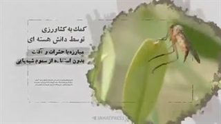 کاربردهای انرژی هسته ای - ایران