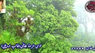 شعر سلیس و شیوا از غزلیات شیرین طالب | بی زمانی با صدای خو