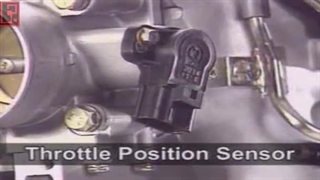 TPS sensor-  KIA , Hyundai motors - 440