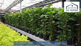 سوله گلخانه 22220266-021