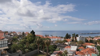 a Beach and the Endless Ocean