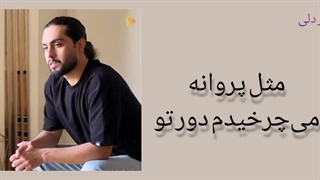 آهنگ دلی زیبا از حامیم به نام میگم عاشقتم میگی دیوونه ای هم راه با لیدی موزیک ❤️