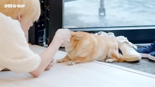 Fill it up nct ریلیتی شو قسمت ۱