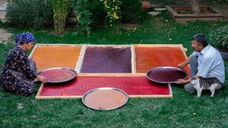 آشپزی در طبیعت آذربایجان : لواشک - موج کره ای