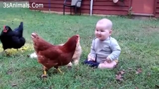 بهترین فیلم های خنده دار حیوانات خانگی و کودکان,مستند,حیوانات,شکار,حیات وحش,راز بقا