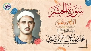 14020331: تلاوت، سیری در سوره های الحشر، الفجر و العلق از استاد محمد صدیق المنشاوی