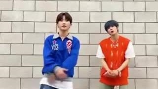 آپدیت تیک‌تاک لون‌ایت با چالش Wild Heart بهمراه سونگجون از TNX